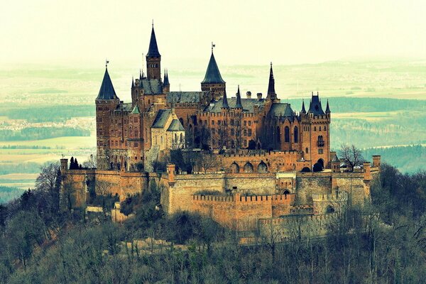 Château de Hohenzollern, Allemagne et la forêt environnante