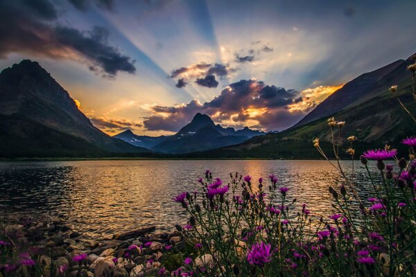 Hermosa naturaleza lago montaña flores