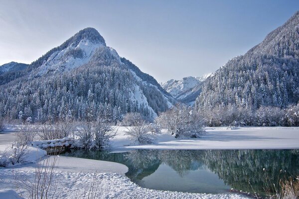 Schneebedeckte Gebirgsfluss und Bäume