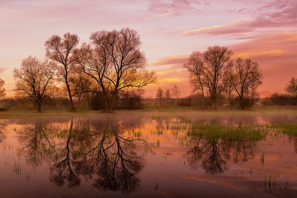 Amanecer de primavera, cielo de la mañana