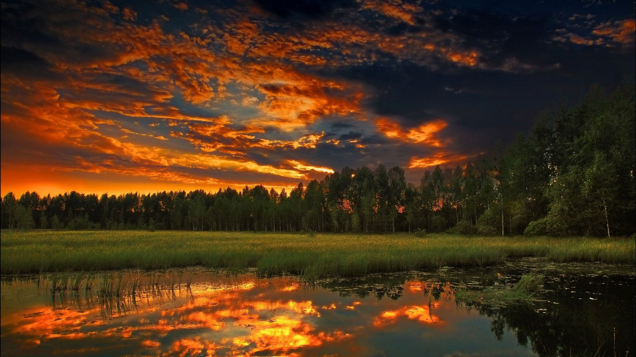 natura cielo nuvole tramonto foresta lago erba