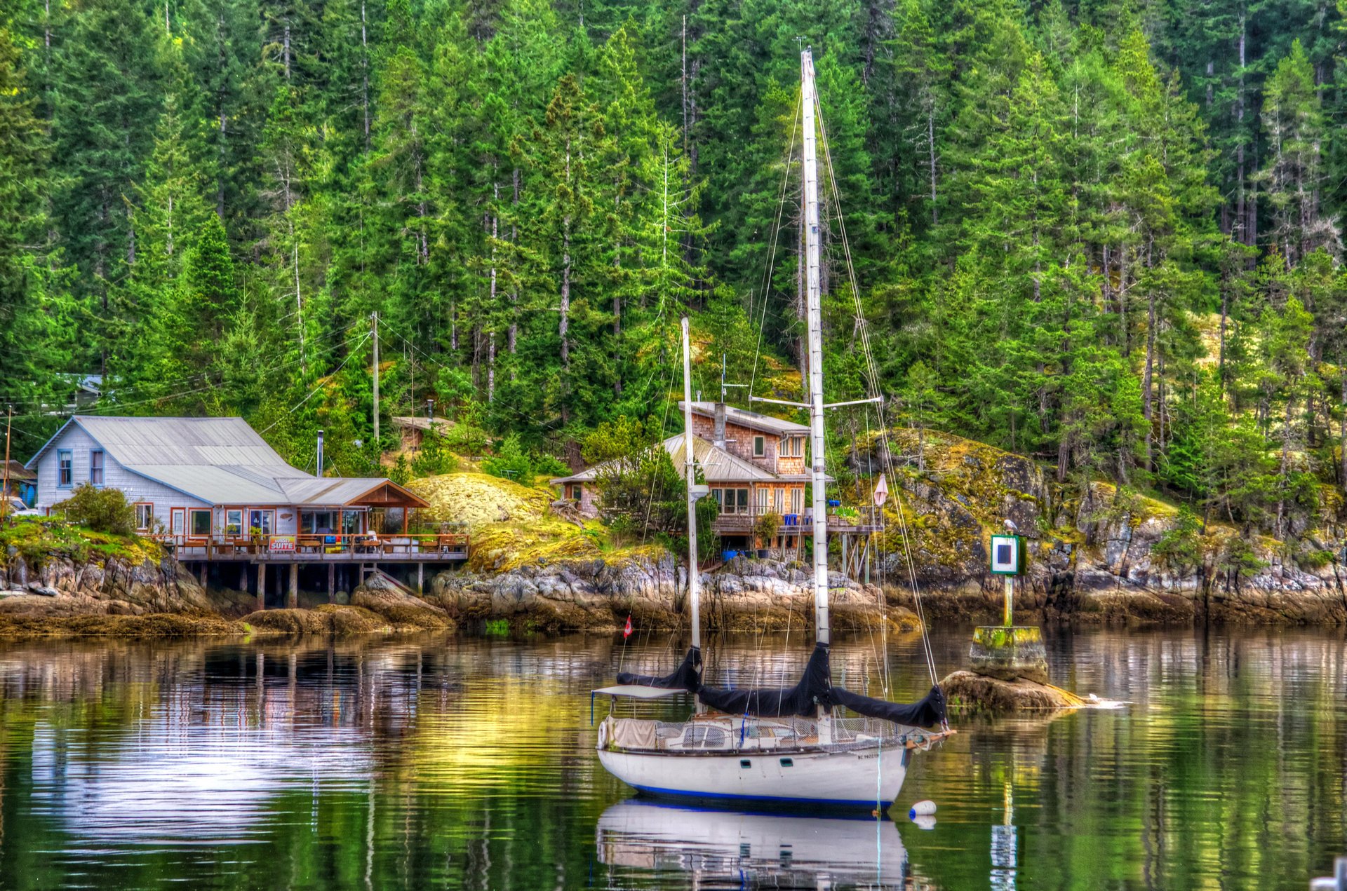 forêt lac yacht côte cabanes pierres arbres