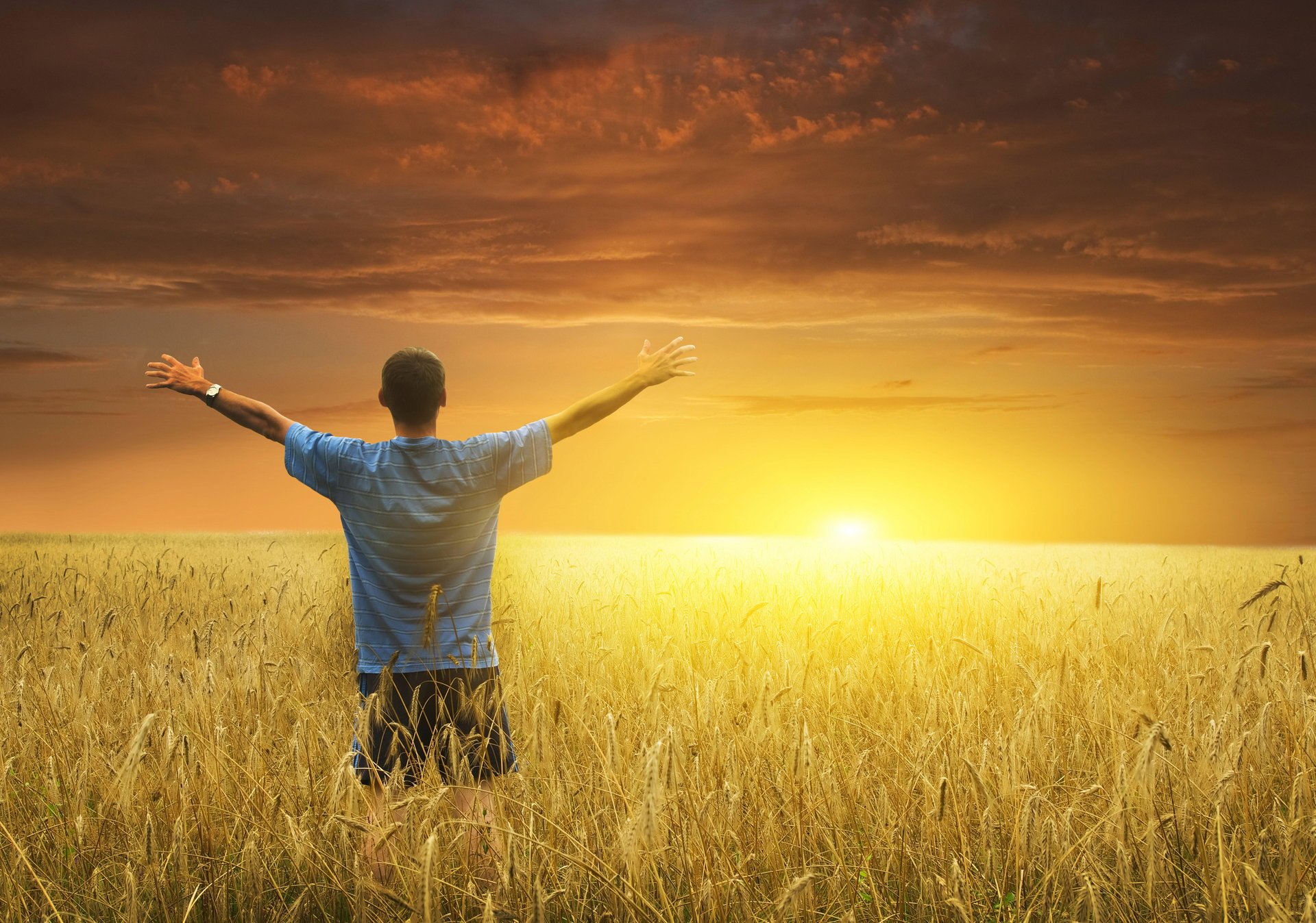 homme soleil aube épis champ mains rencontre accueille