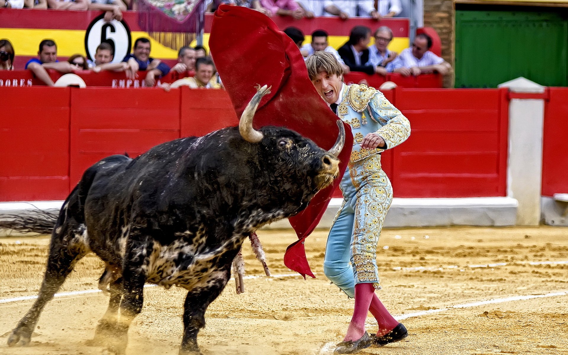 toréador taureau espagne