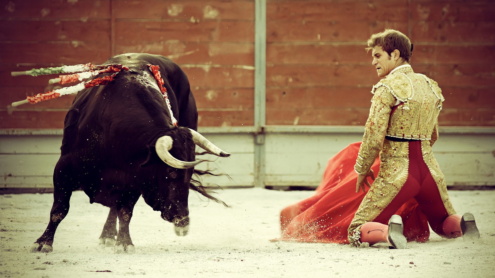 bullfighter bull spain