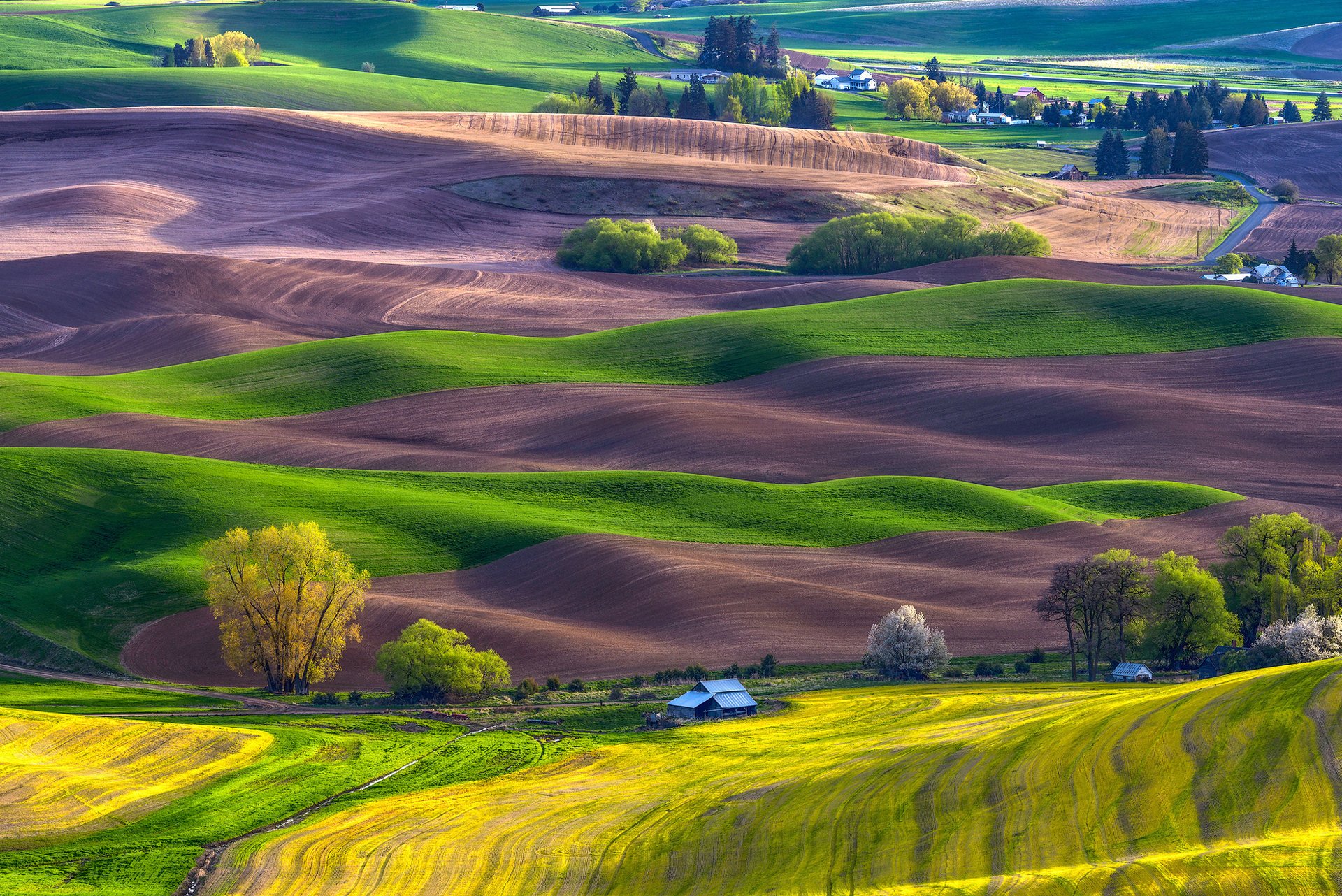 natur frühling felder häuser bäume