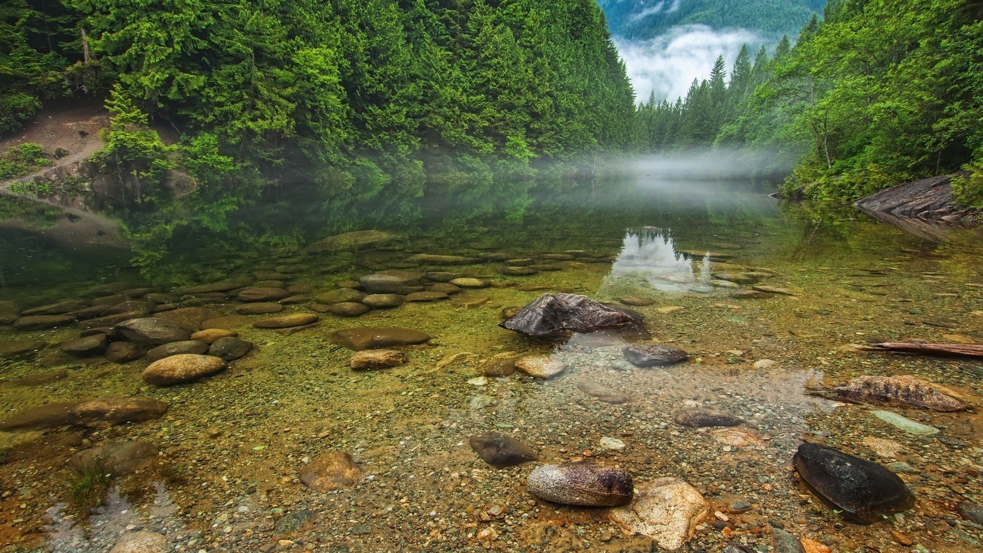 montagnes rivière de montagne forêt