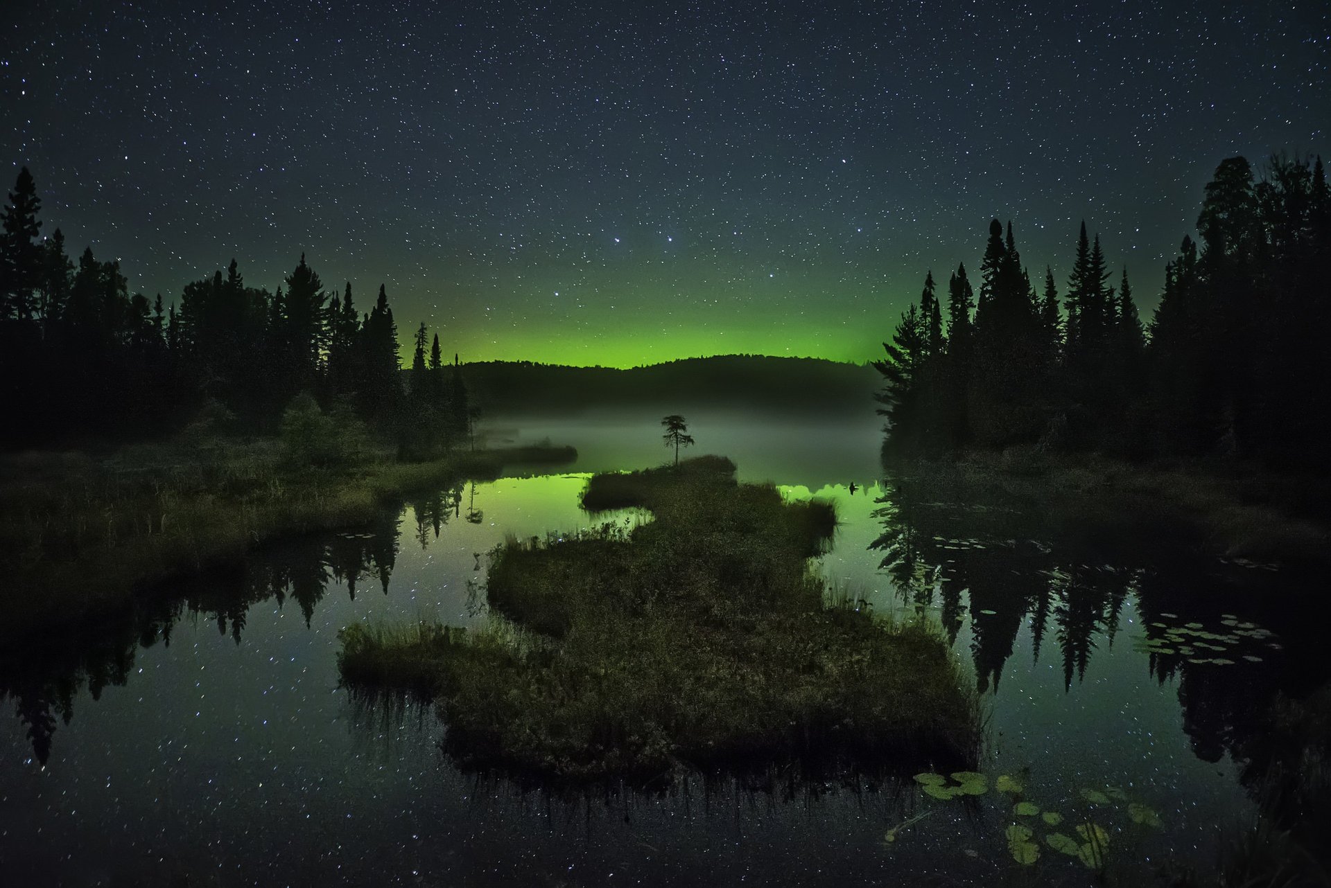 foresta lago notte stelle isolotto