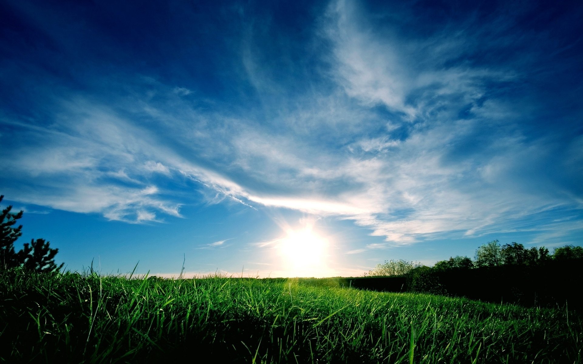 grünes feld blauer himmel horizont