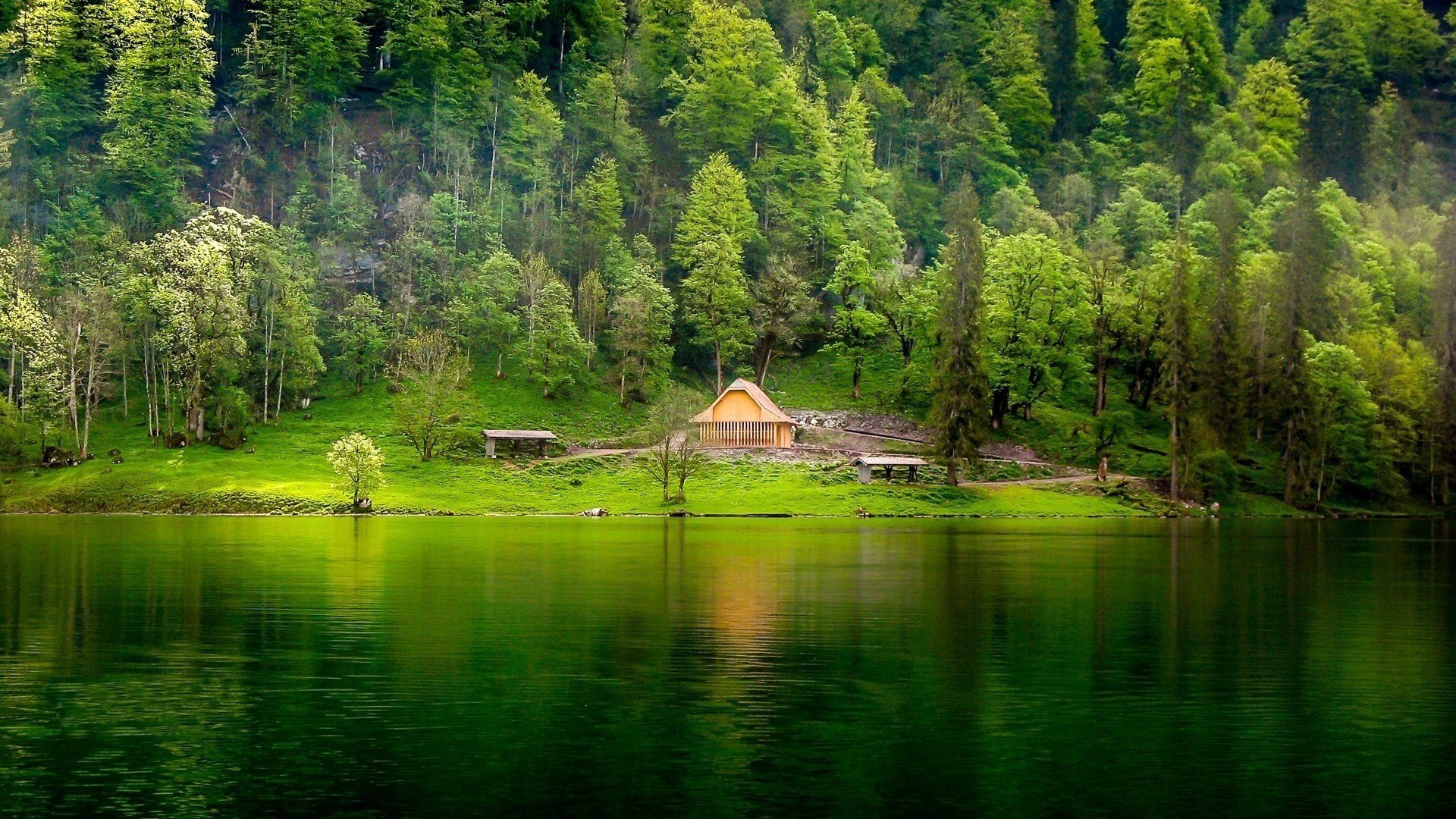 nature lake