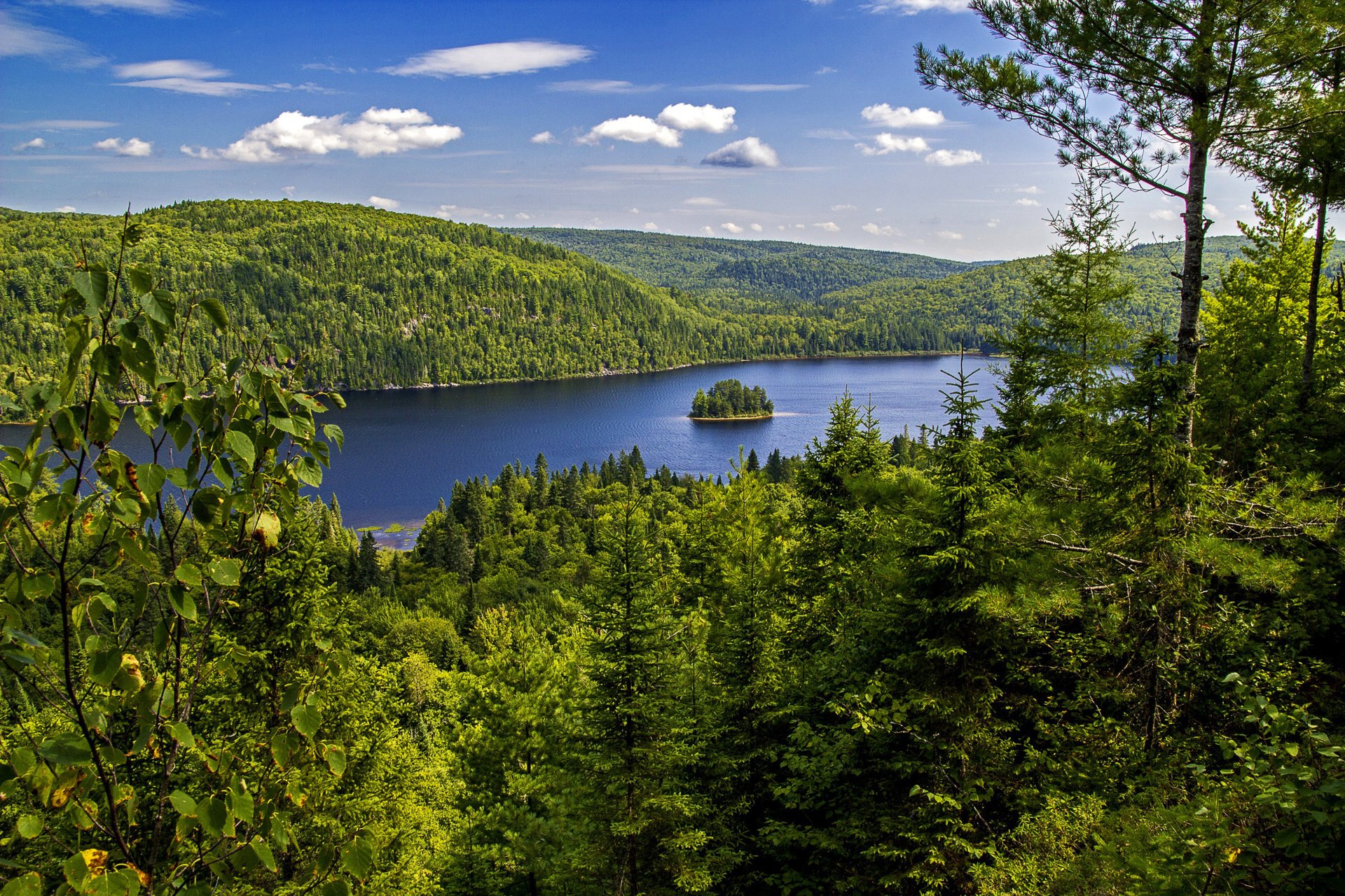 nature canada parc national forêt lac îlot