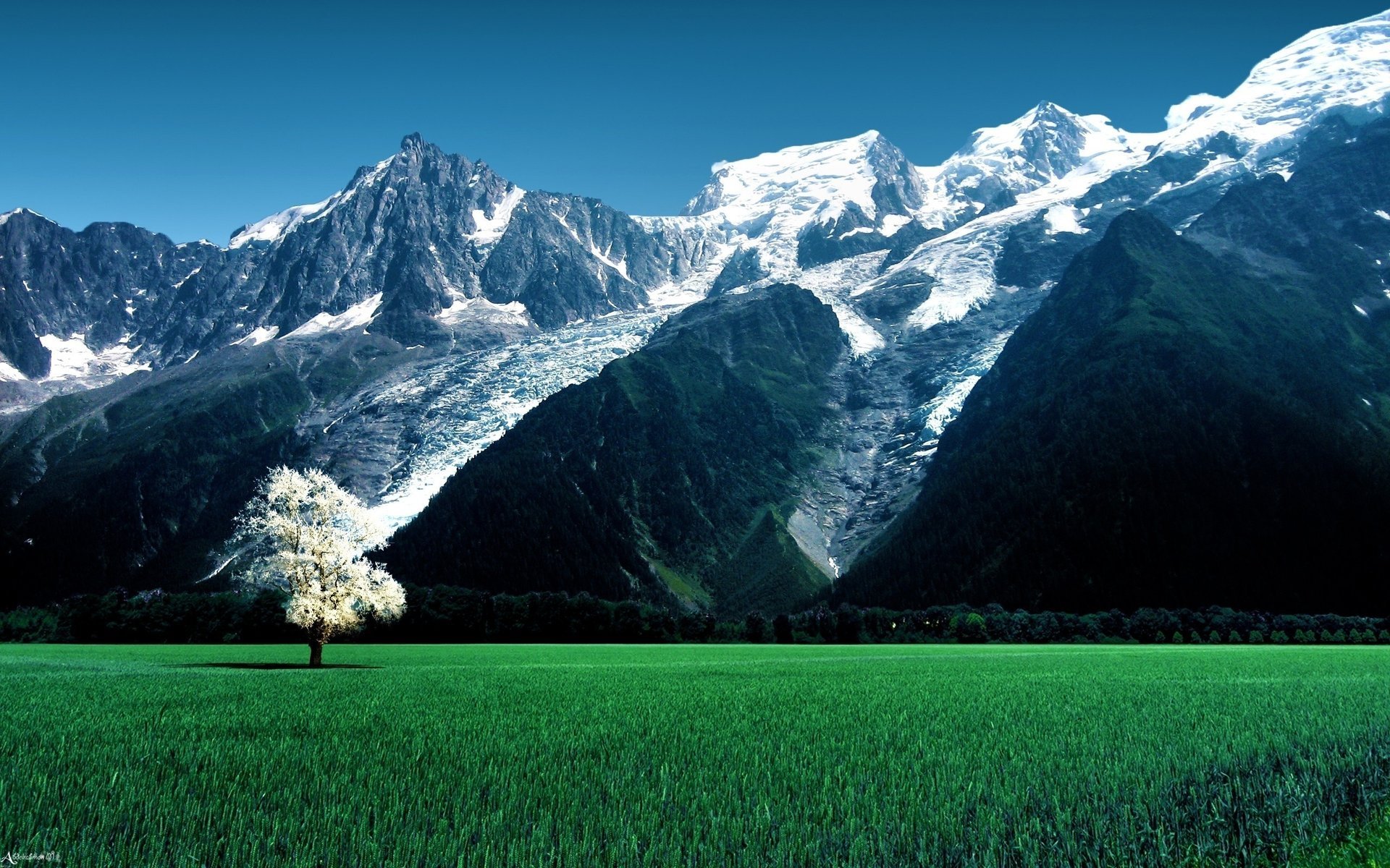 fields skies landscapes mountains fields nature sky nature mountains grass grass trees tree