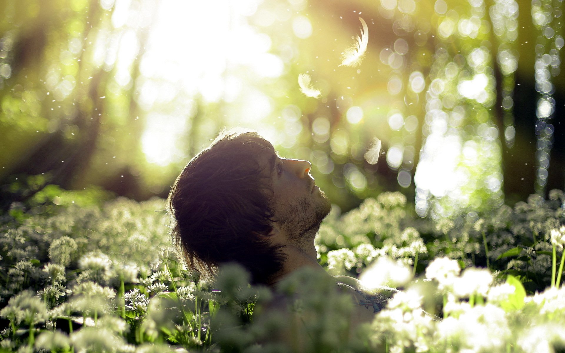 guy forest nature mood