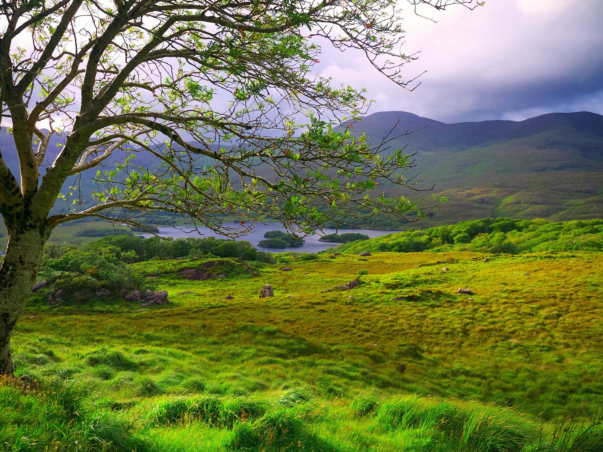 ladies view clare killarney irlanda