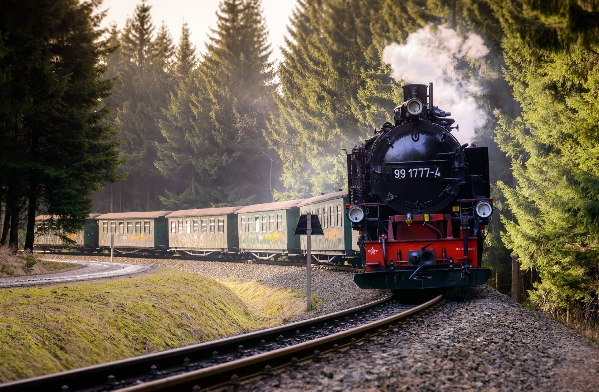 zug zusammensetzung wald