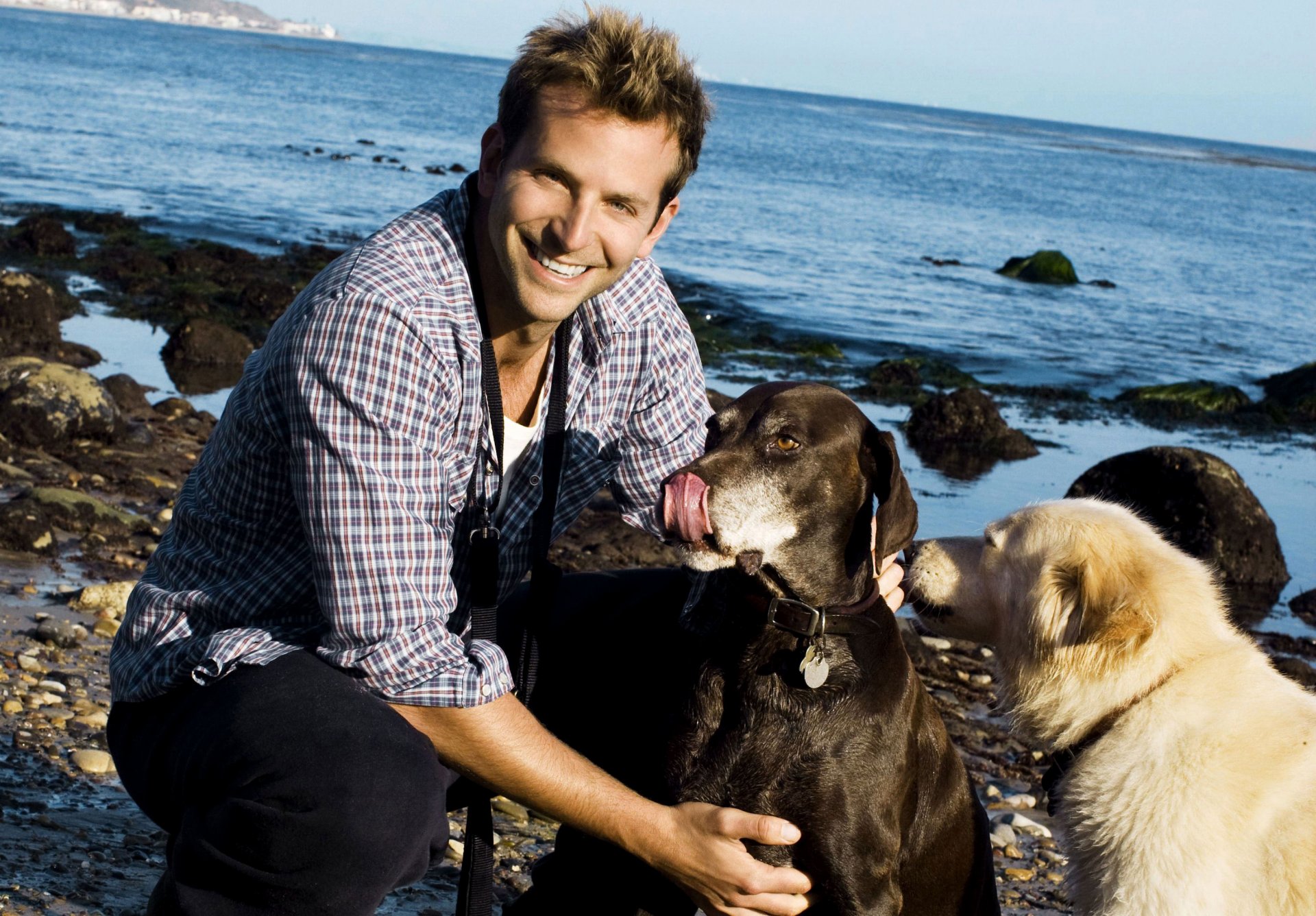 bradley cooper actor men smile beach dog