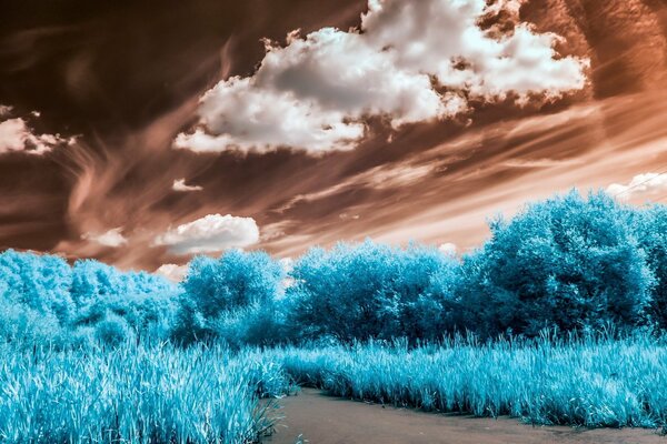 Niebieska trawa i drzewa na tle brązowego nieba z białymi chmurami