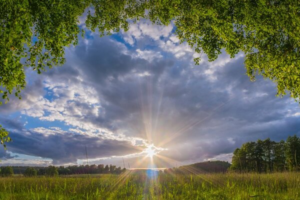 Sonnenstrahlen streuen das Morgengras