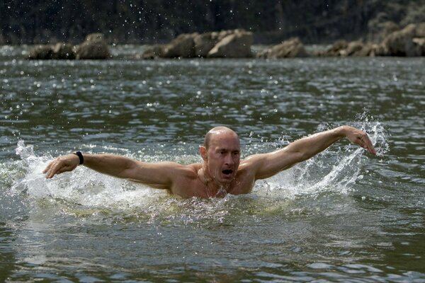 Vladimir Putin swims in the river