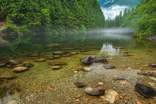 Belle vue sur la rivière de montagne avec de l eau claire