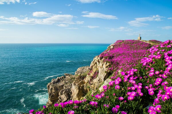 Бикайский залив с цветущим берегом