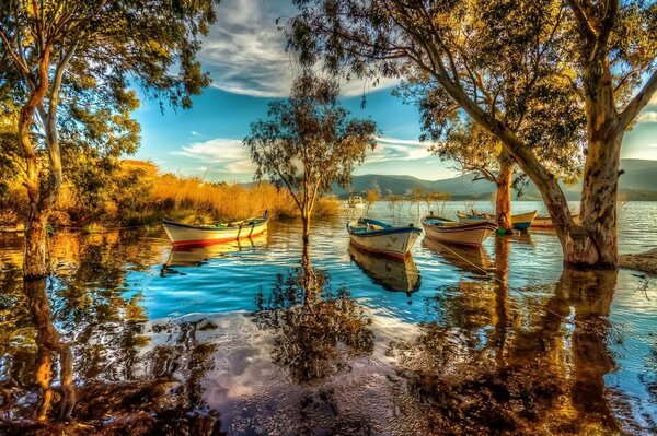 Autumn nature: boats on the lake
