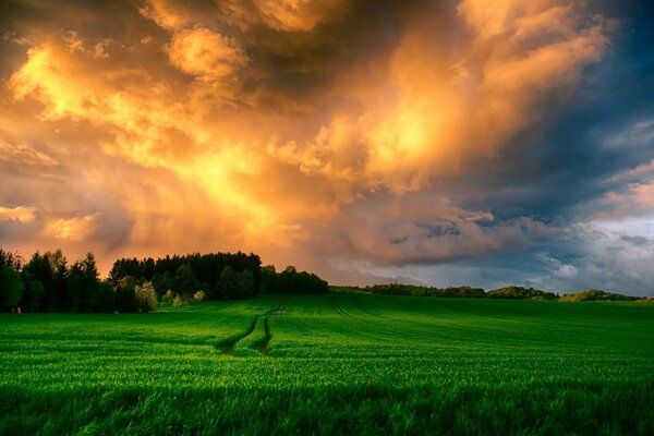 Strada di campagna sullo sfondo del tramonto