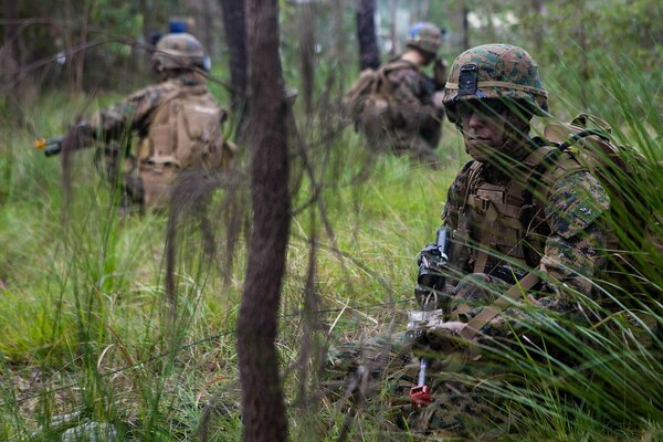 US-Marine Corps im Wald