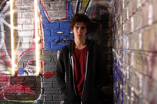 Curly-haired actor Robert sheehan from the TV series garbage