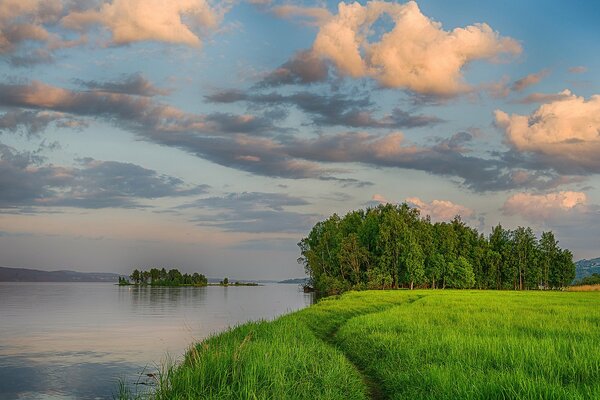 Grünes Gras und Bäume in der Nähe des Flusses im Sommer