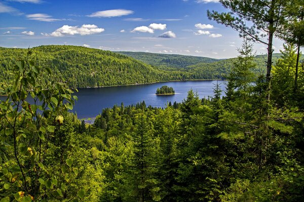 Isolotto su un lago nel Parco Nazionale del Canada