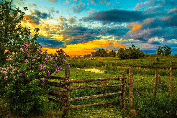 Dans l étang derrière la clôture se reflète le coucher de soleil du soir