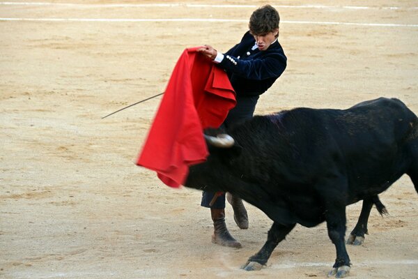 Hombre haciendo un truco con un Toro