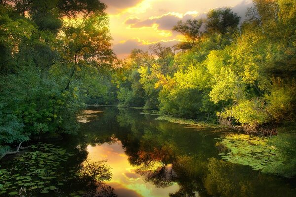 Reflet du ciel dans la rivière au milieu de la forêt