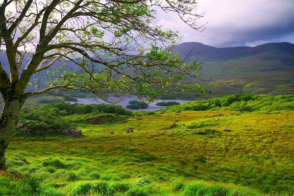 Le soleil dissipe le brouillard en Irlande