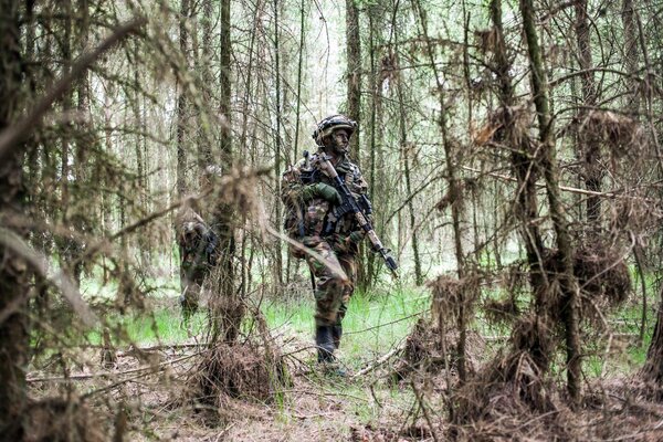 Soldati dell esercito reale nella foresta