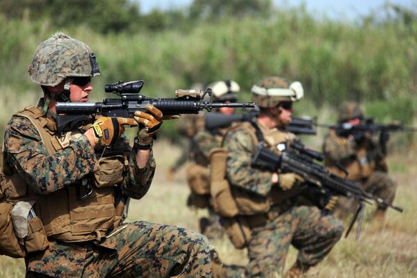 Soldados en komuflage contra árboles en un campo con armas