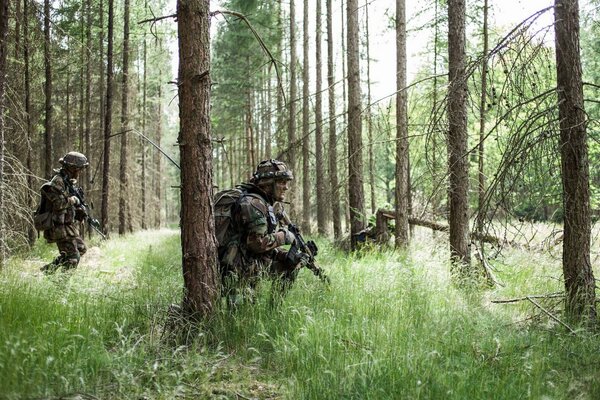 Soldados armados del ejército real