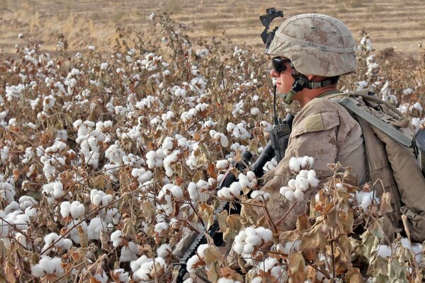 Soldado armado solitario en el campo