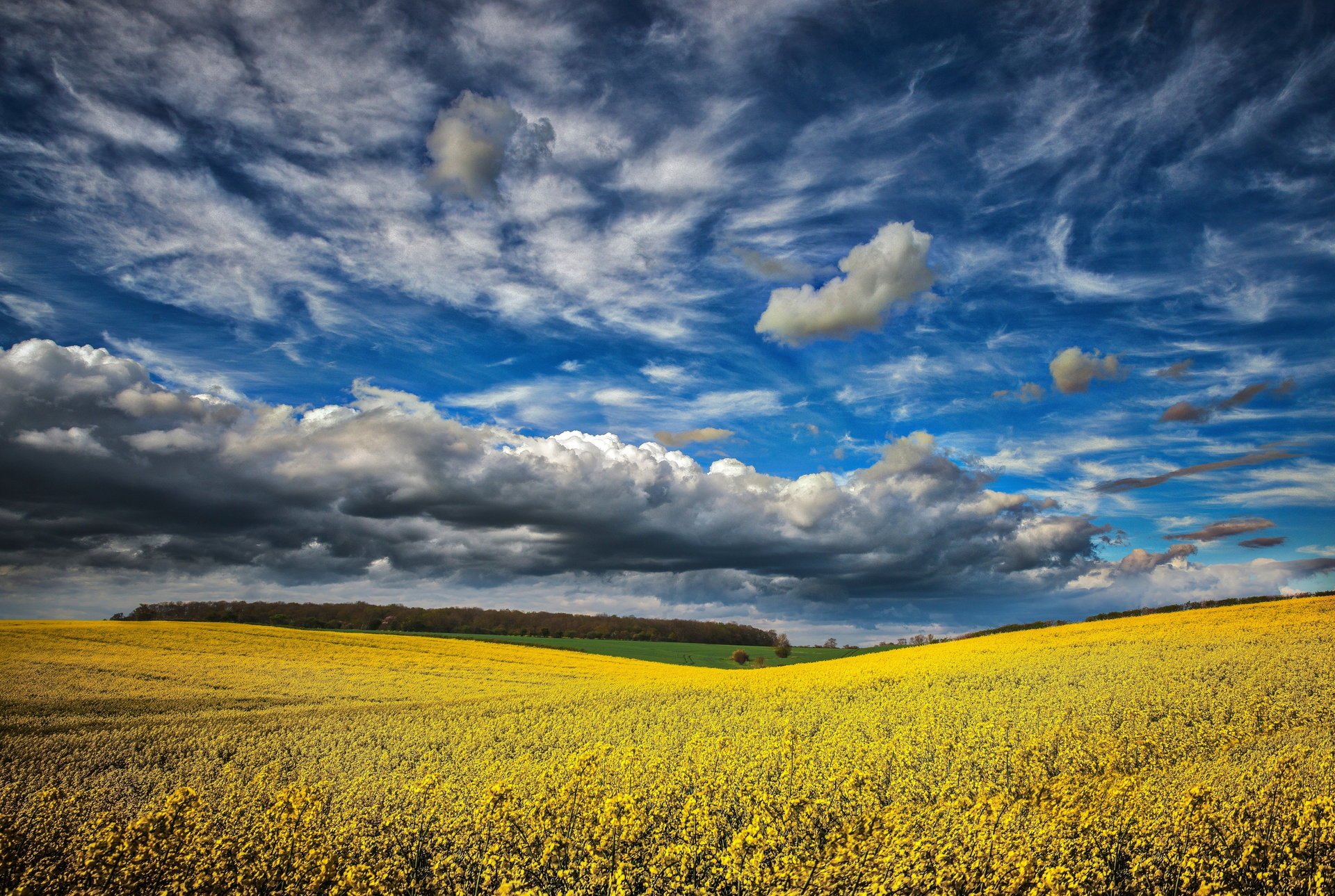 the storm spring field element