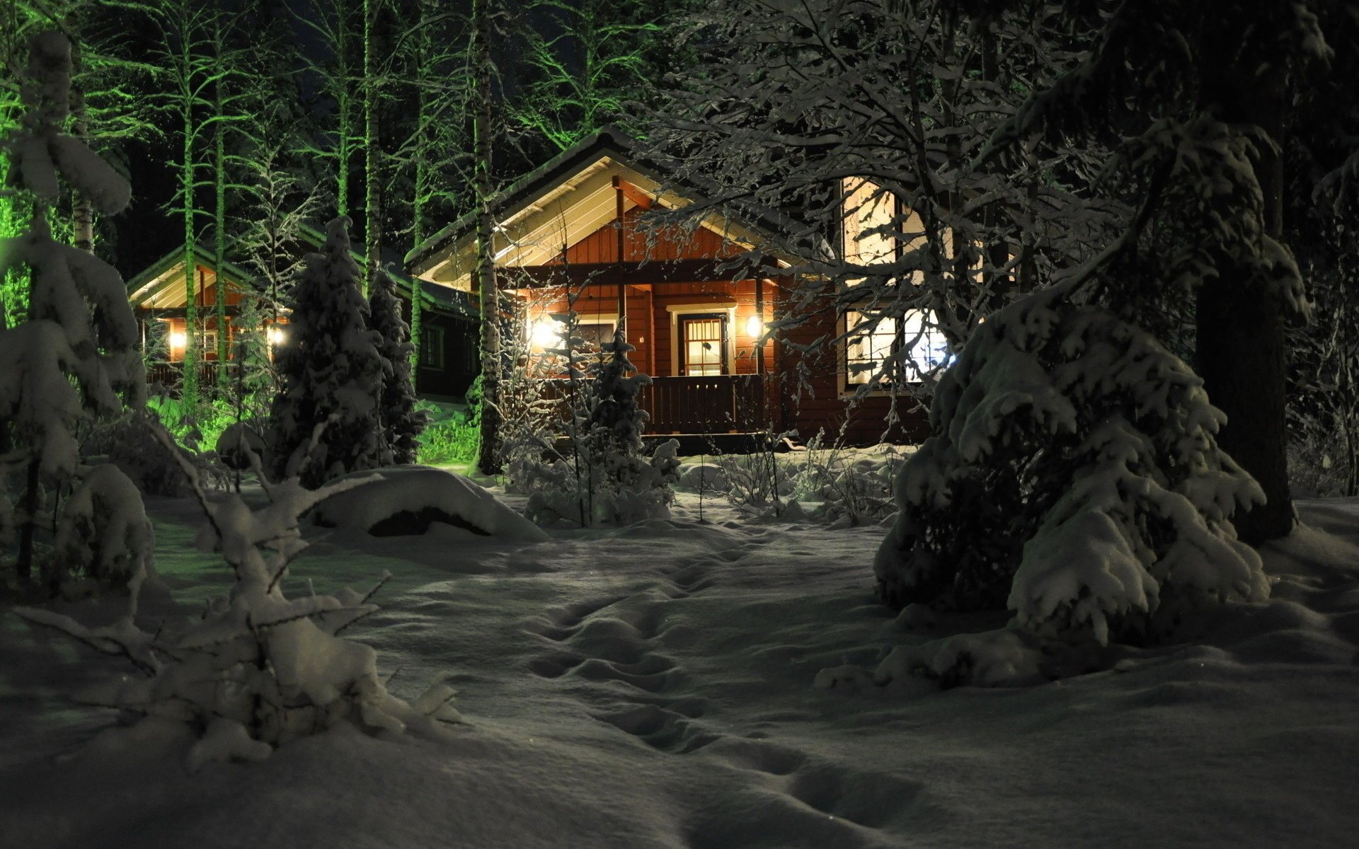 wald schnee winter häuser nacht