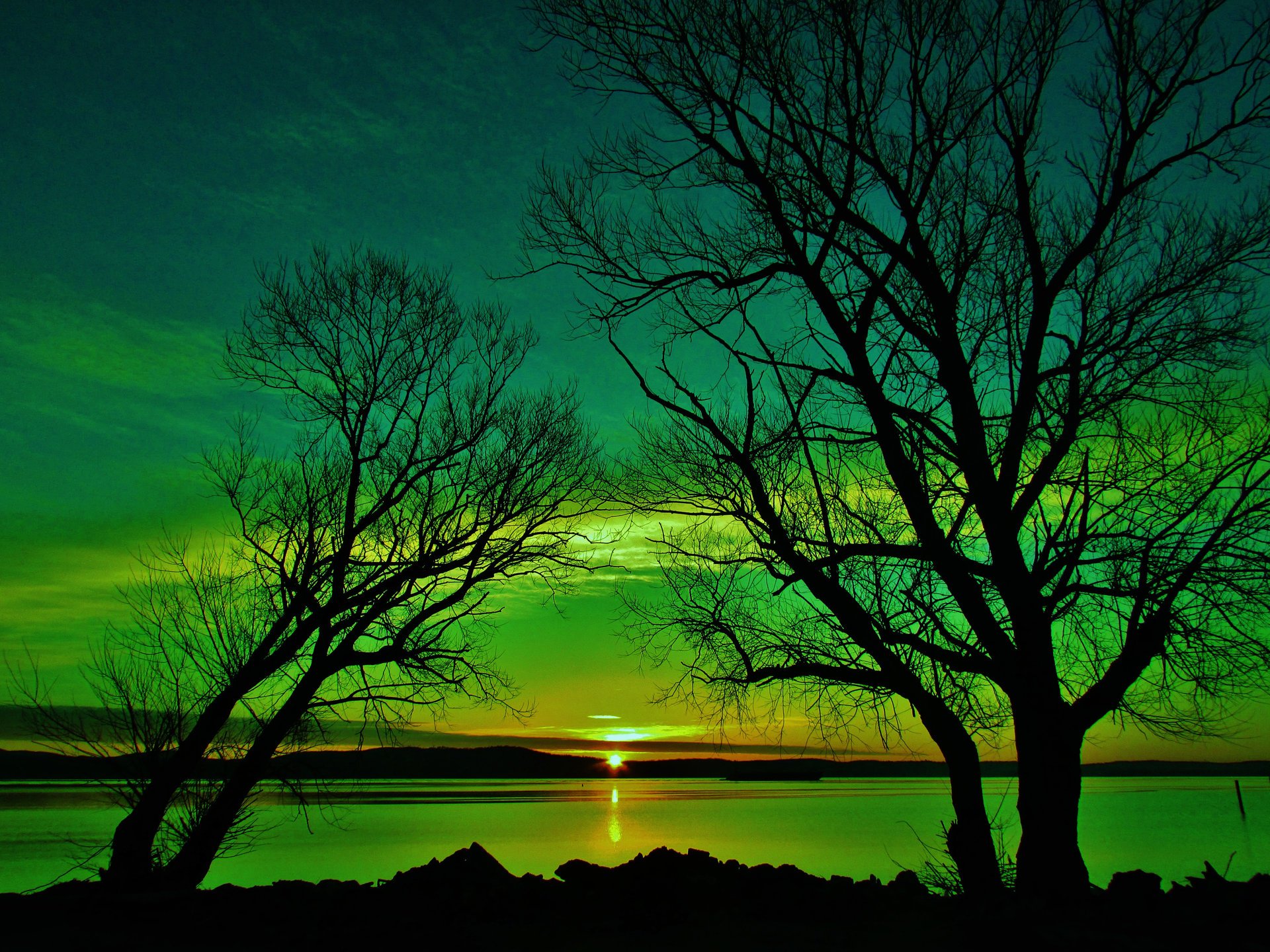 lake trees sunset