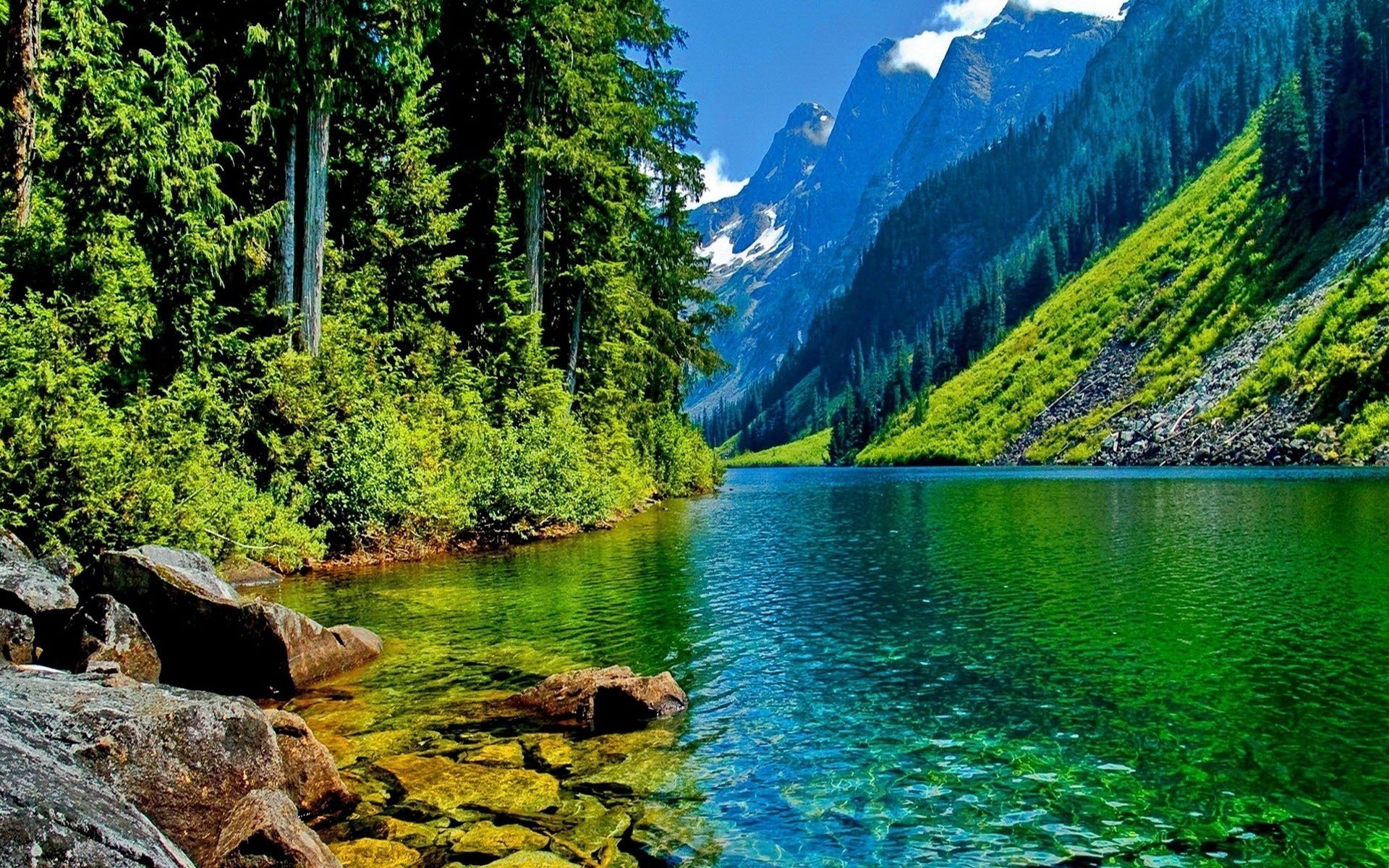 natur berge wald schön