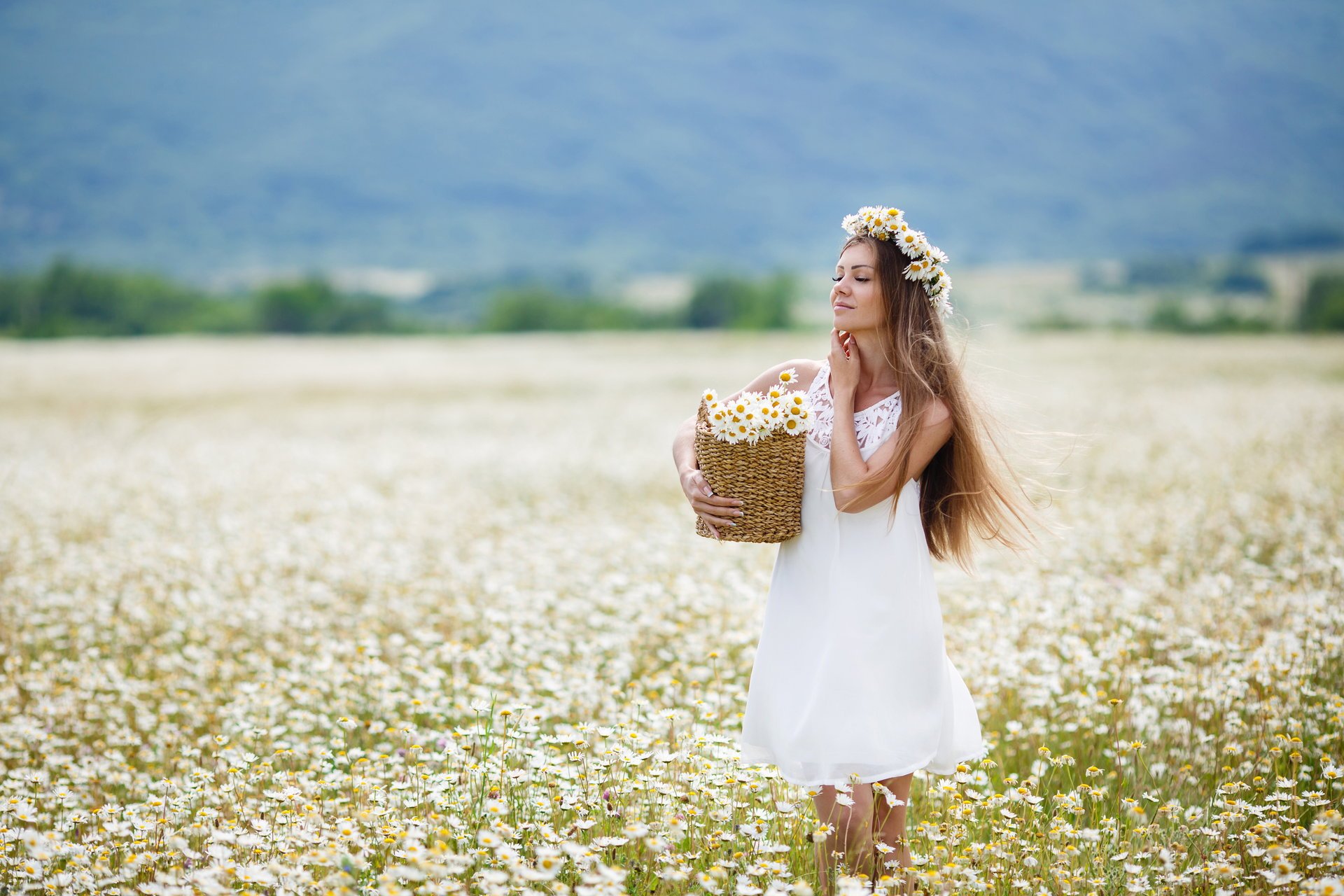 fiori ragazza capelli castani campo margherite cesto