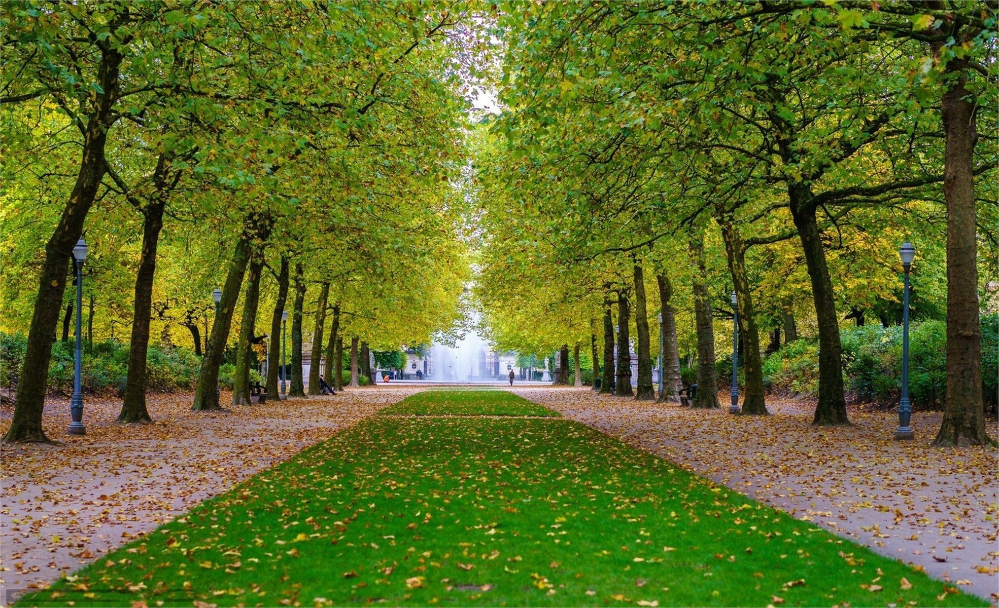 park alley the city square