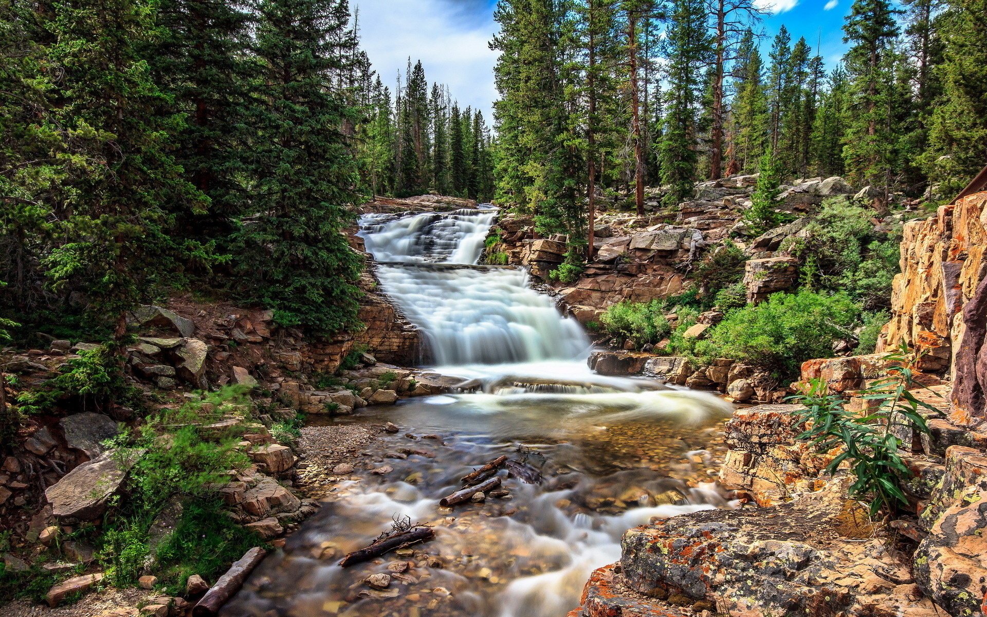 river forest nature