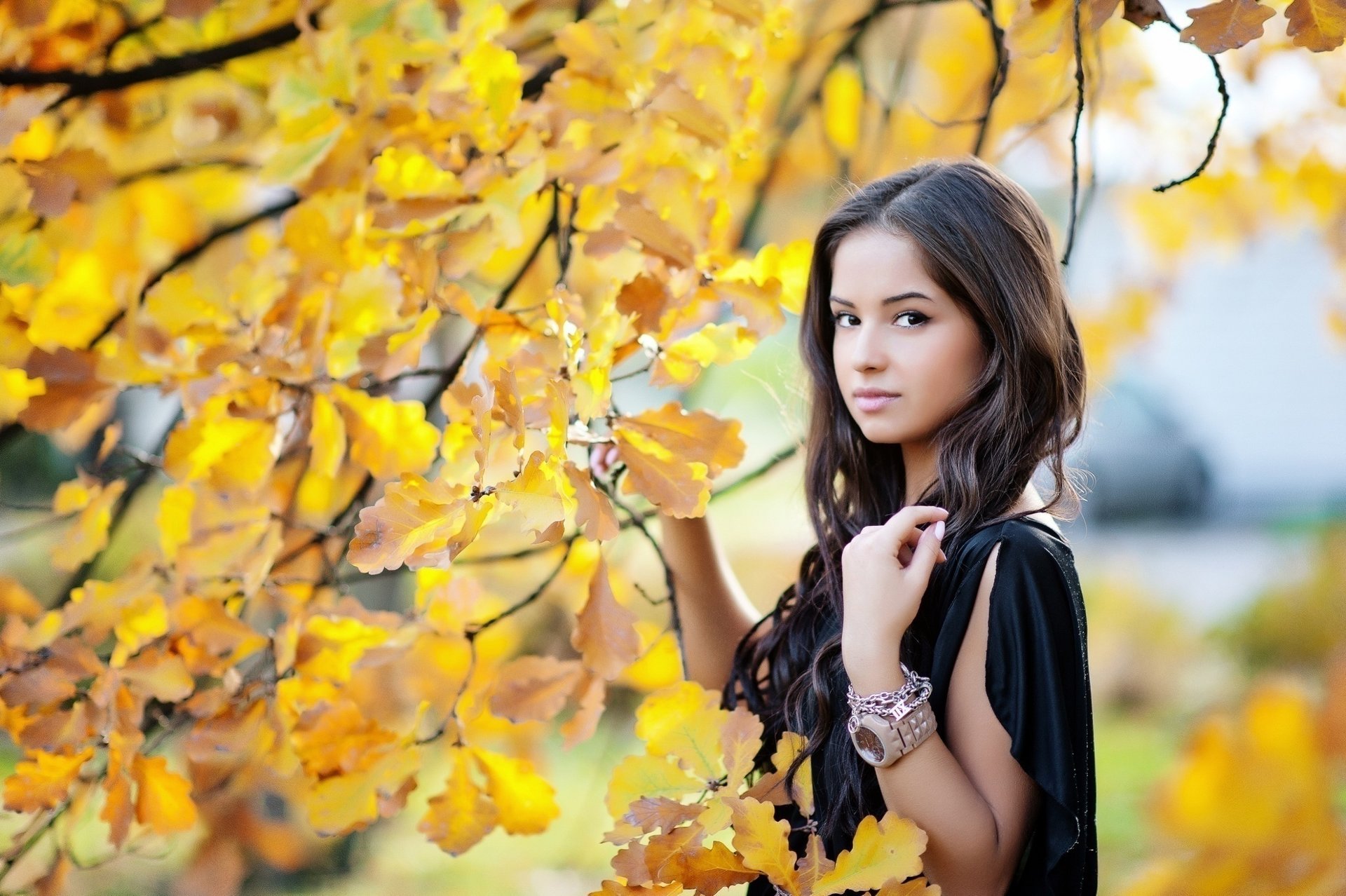 chica pose mirada otoño hojas amarillas belleza