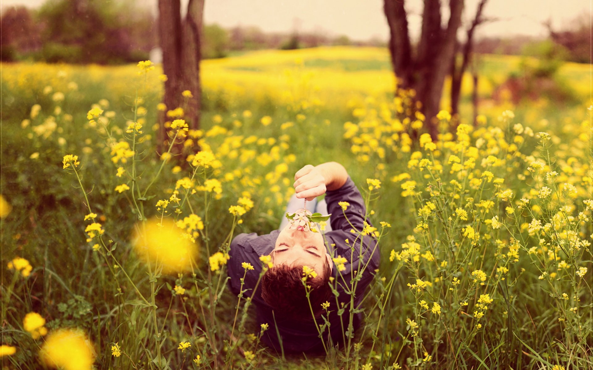 guy the field nature