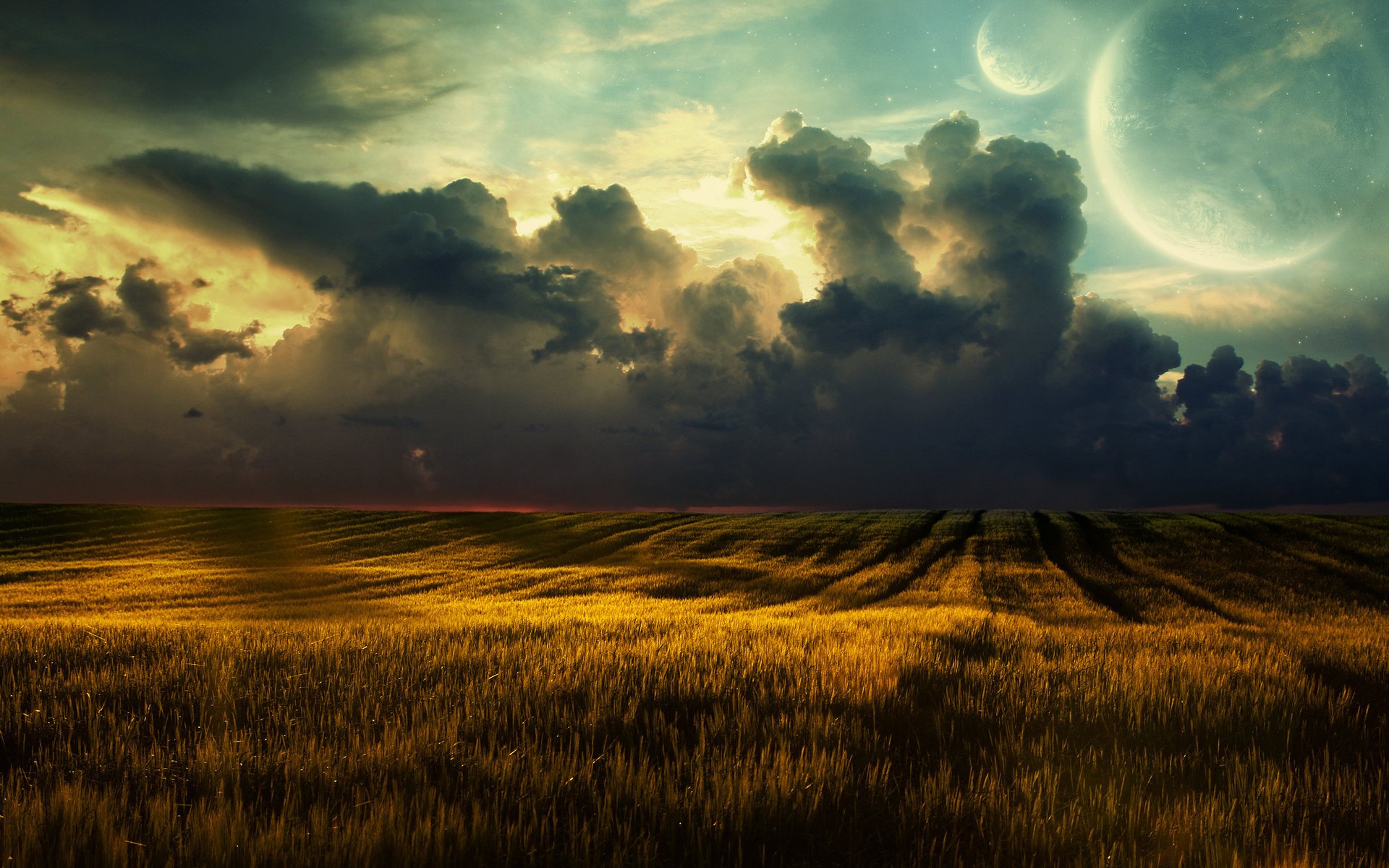 nature field wheat the sky