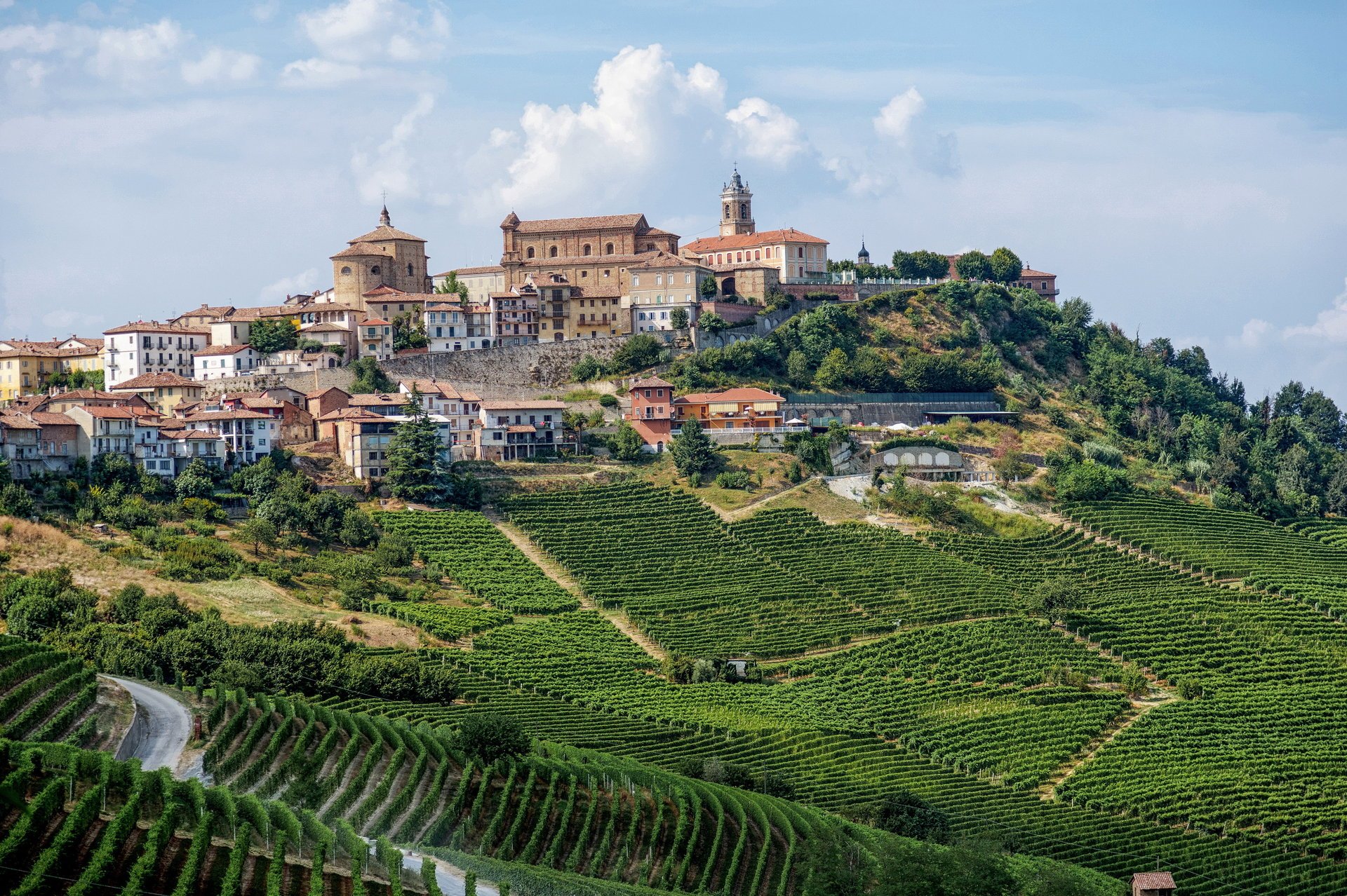 weinberge stadt italien